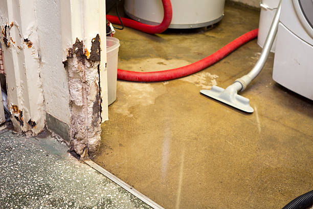 emergency basement leak repair company Papillion, NE